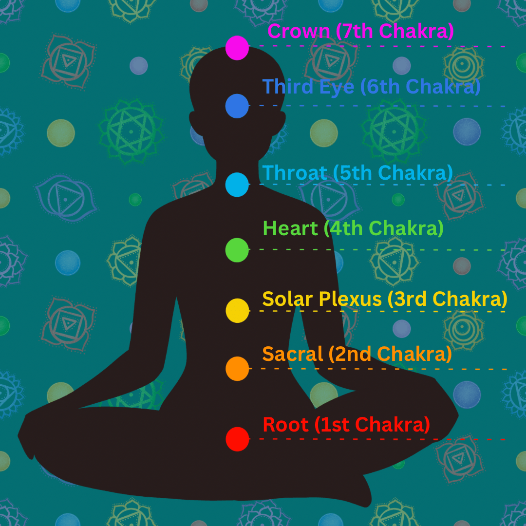 An image of a person in a meditation pose with the list of the 7 different chakras