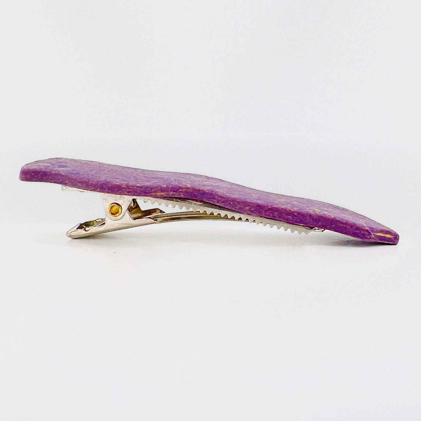 Hair Clip Squiggle Hair Clips