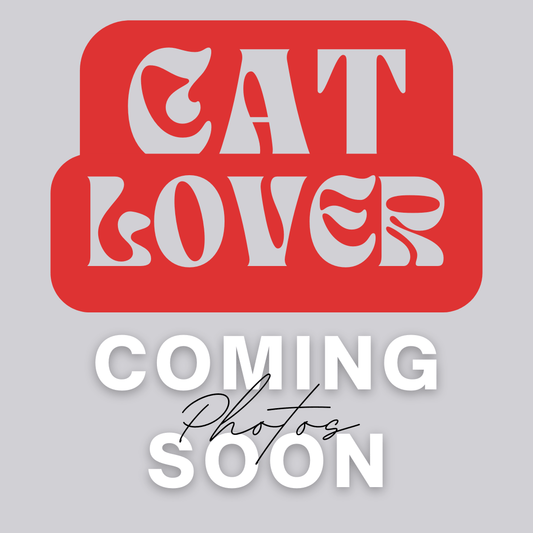 Magnets Cat Lover Magnet – Handmade Clay Fridge Magnet