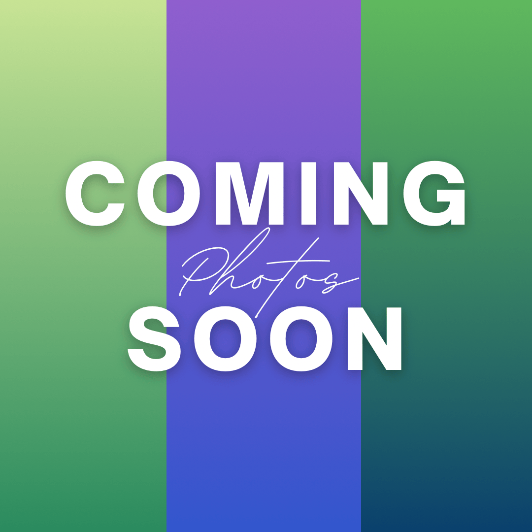 Suncatchers Verdant Mirage Leafy Plant Suncatcher with Glass Prisms & Spinner