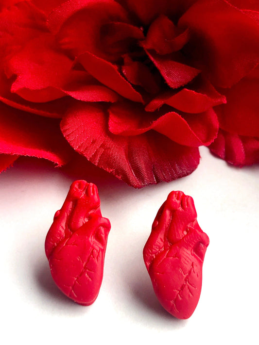 Earrings Anatomical Heart Stud Earrings