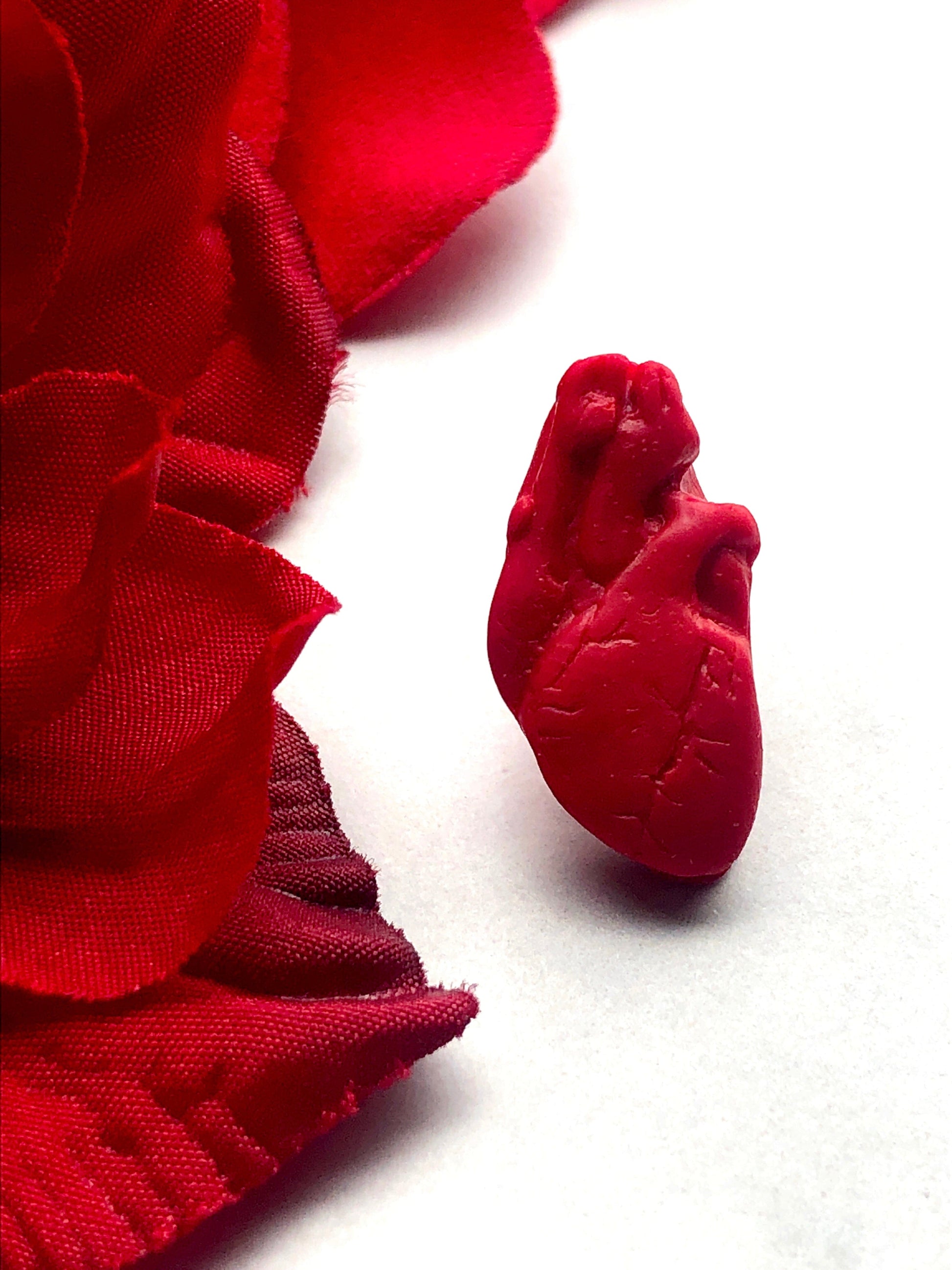 Earrings Anatomical Heart Stud Earrings