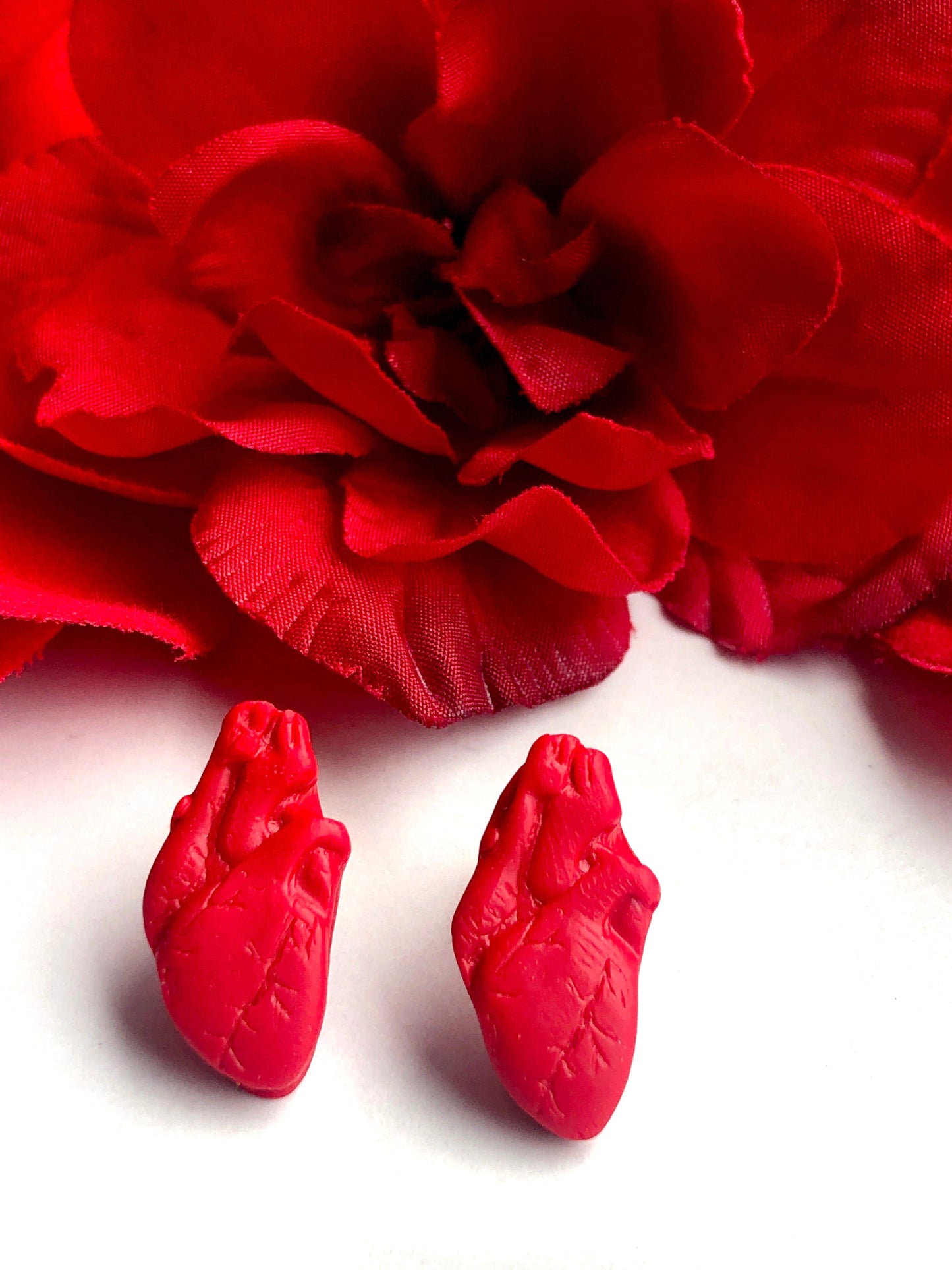 Earrings Anatomical Heart Stud Earrings