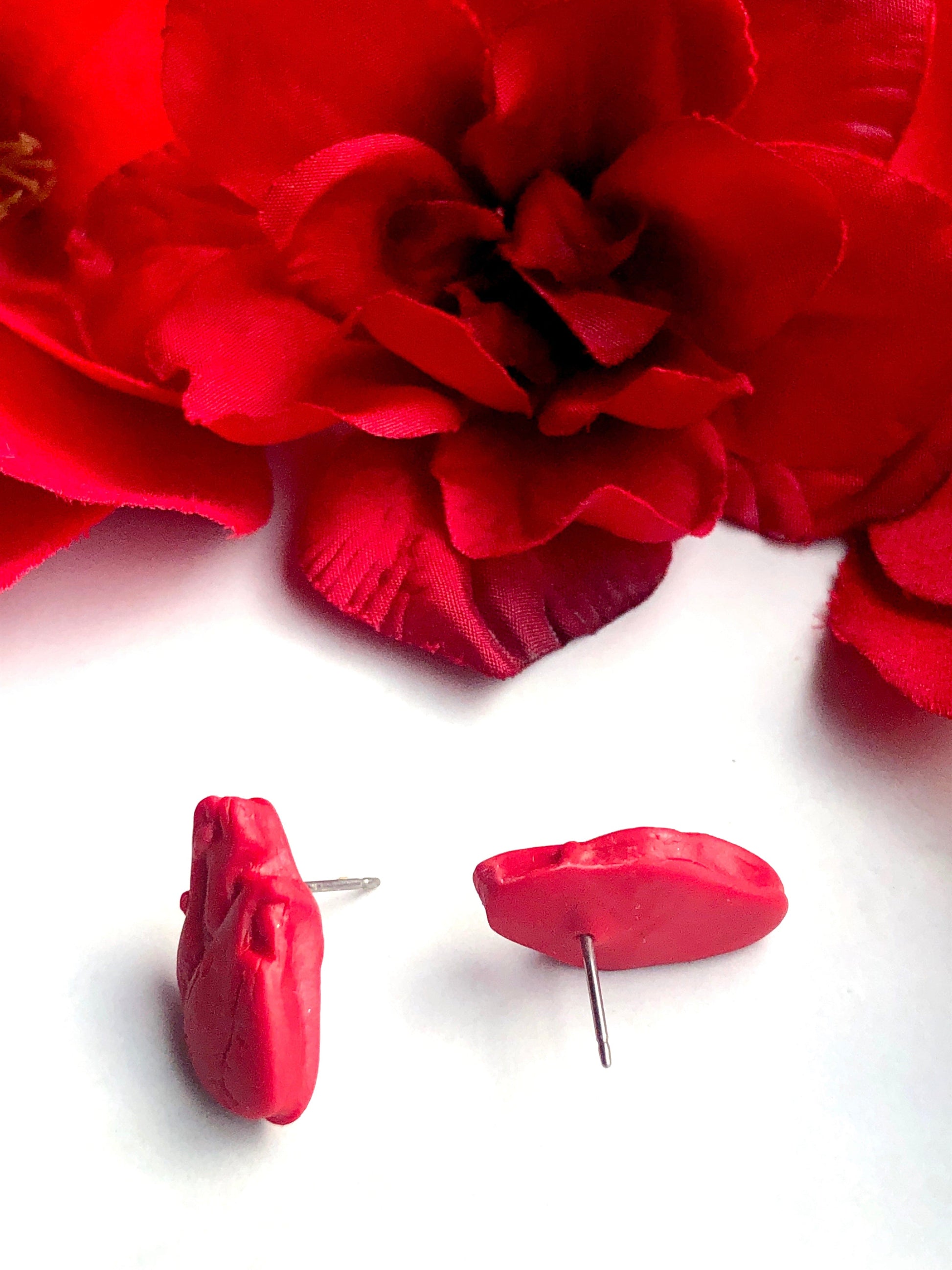Earrings Anatomical Heart Stud Earrings