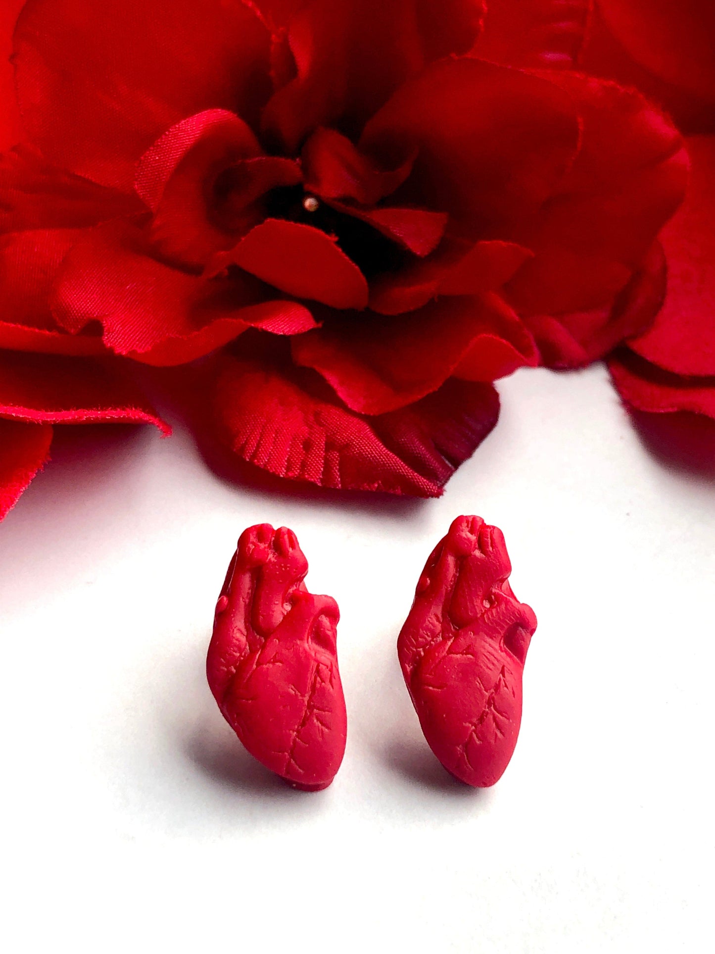 Earrings Anatomical Heart Stud Earrings
