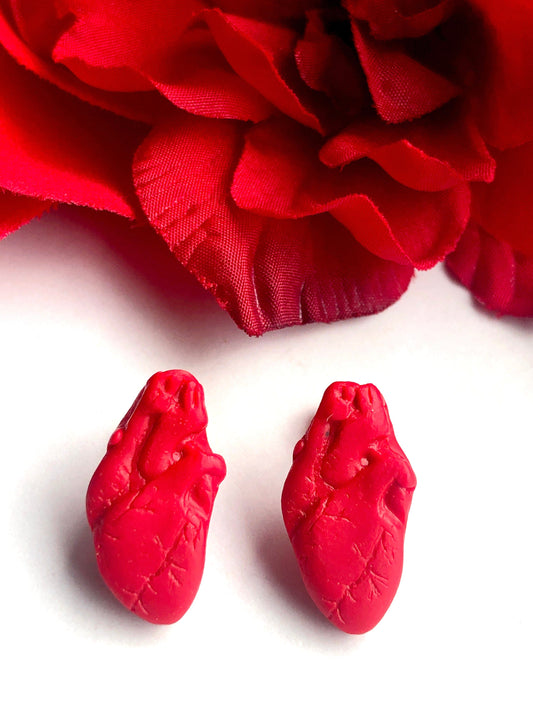 Earrings Anatomical Heart Stud Earrings