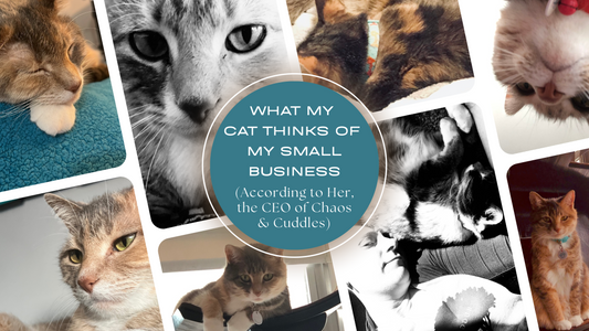 What My Cat Thinks of My Small Business (According to Her, the CEO of Chaos & Cuddles)