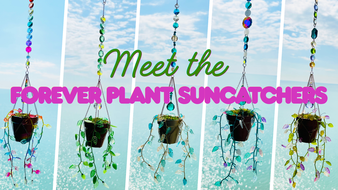 🌿 Meet the Forever Plant Suncatchers
