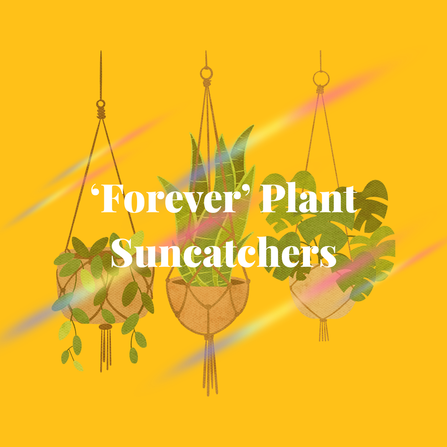 'Forever' Plant Suncatchers