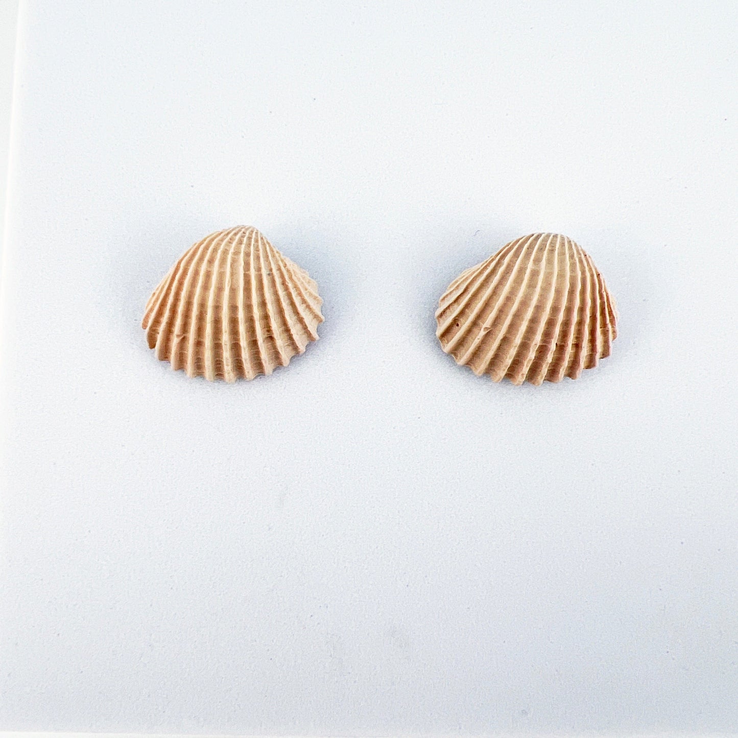 Earrings Clam Shell Stud Earrings