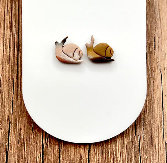 Earrings Snail Stud Earrings – Titanium Posts