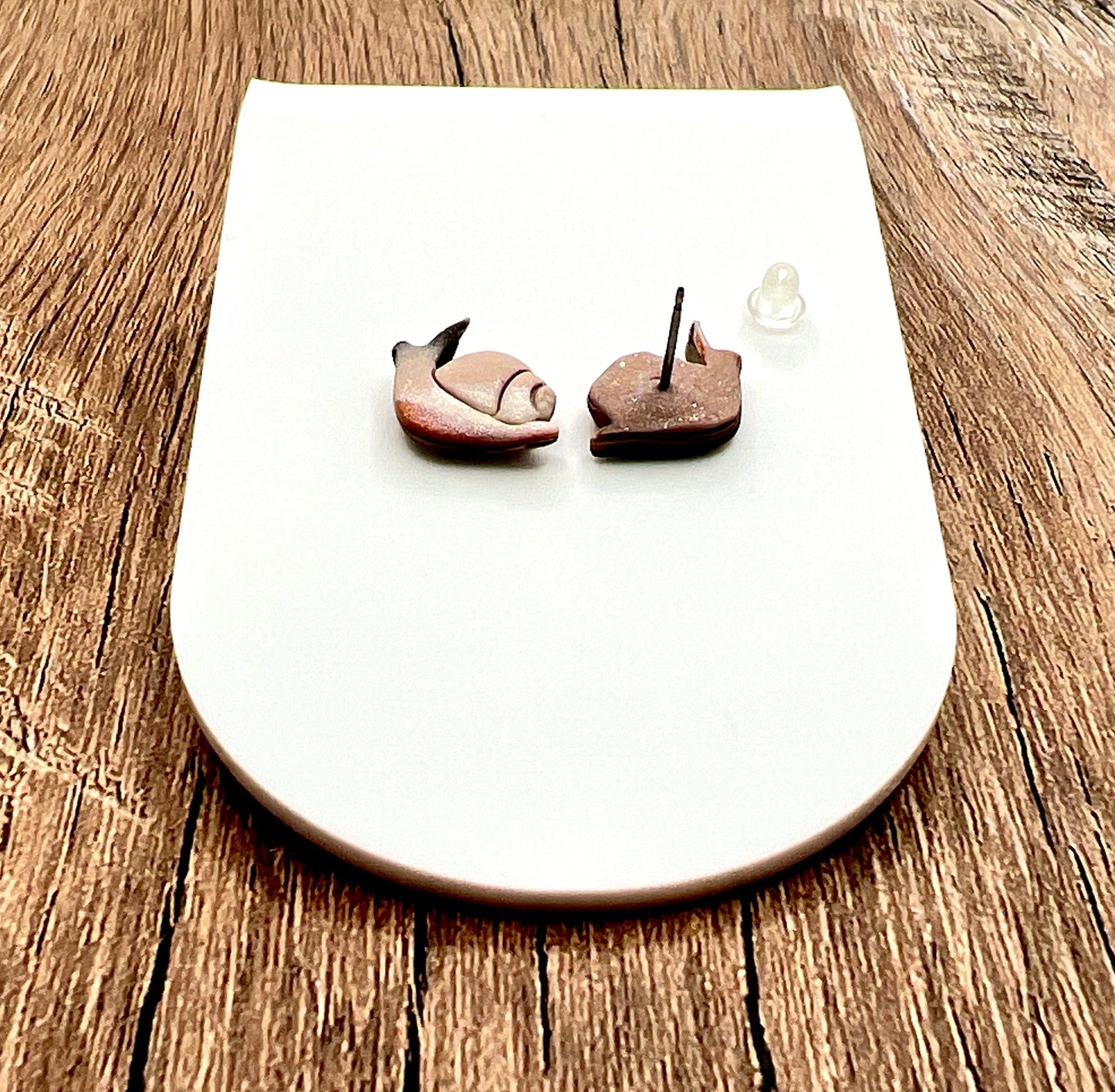 Earrings Snail Stud Earrings – Titanium Posts