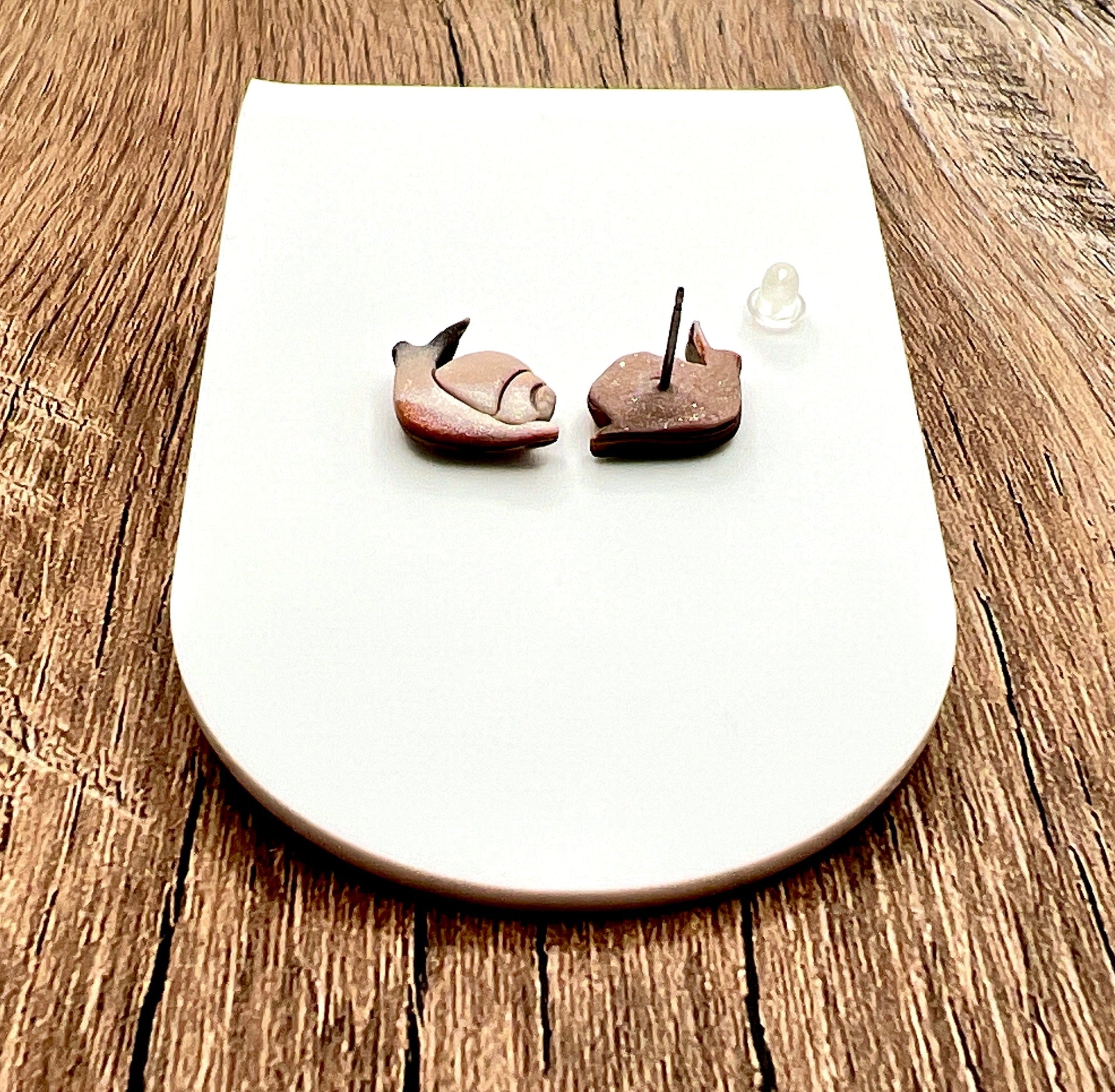 Earrings Snail Stud Earrings – Titanium Posts