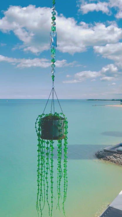 String of Pearls Forever Plant Suncatcher