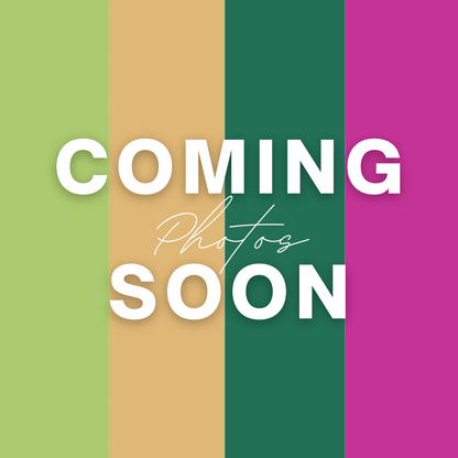 Suncatchers Garden Daydream Leafy Plant Suncatcher with Glass Prisms & Spinner