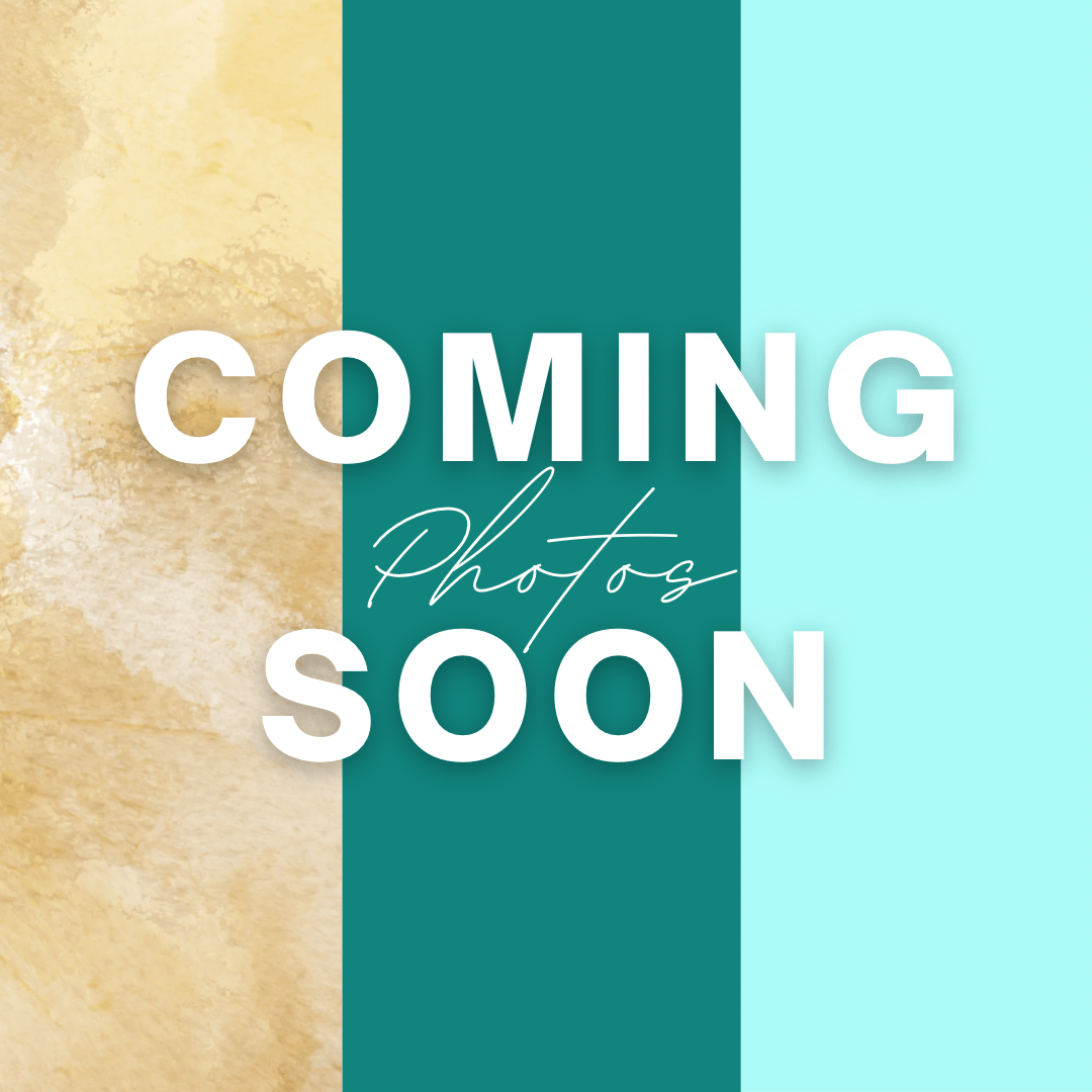 Suncatchers Mystic Lagoon Leafy Plant Suncatcher with Glass Prisms & Spinner