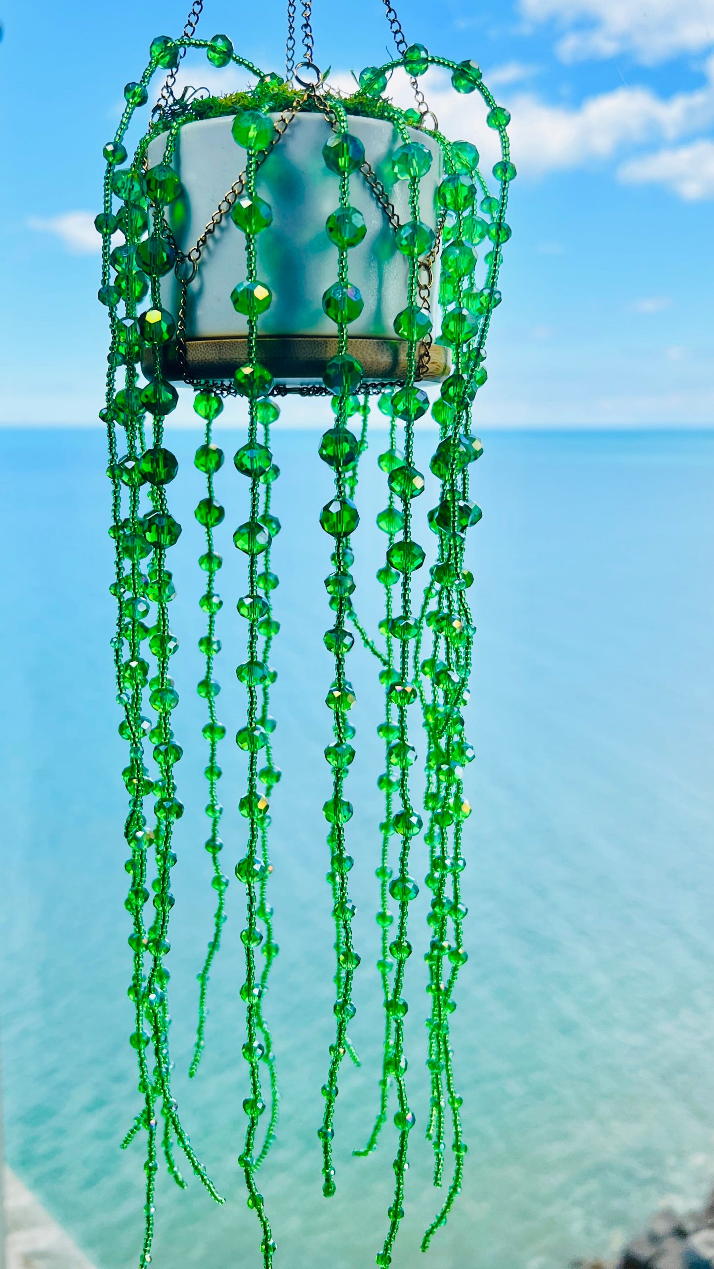 Suncatchers String of Pearls Forever Plant Suncatcher
