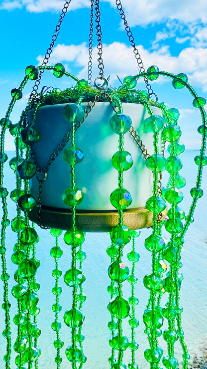 Suncatchers String of Pearls Forever Plant Suncatcher
