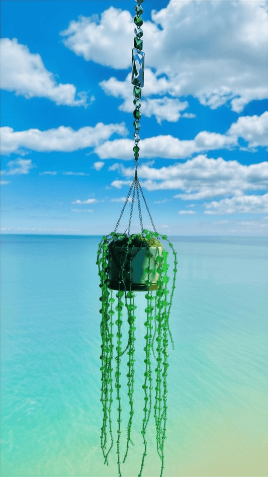 Suncatchers Sweet Pea String of Pearls Forever Plant Suncatcher
