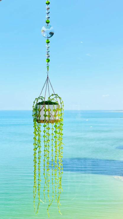 Suncatchers Woodland Sage String of Pearls Forever Plant Suncatcher