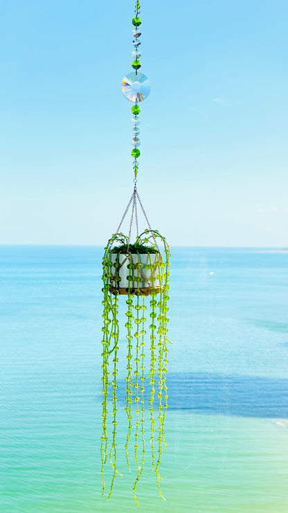 Suncatchers String of Pearls Forever Plant Suncatcher