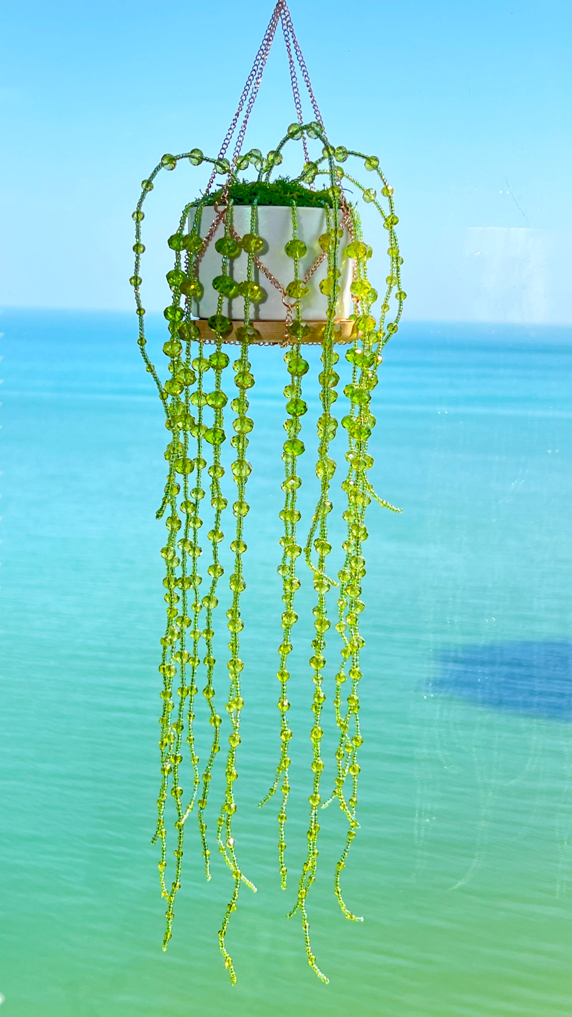 Suncatchers String of Pearls Forever Plant Suncatcher