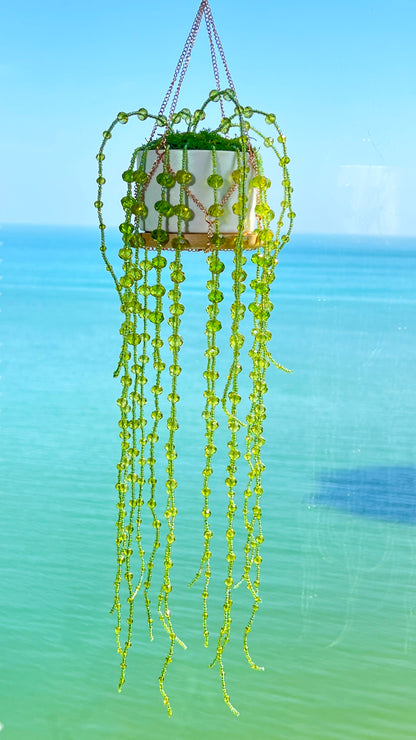 Suncatchers String of Pearls Forever Plant Suncatcher
