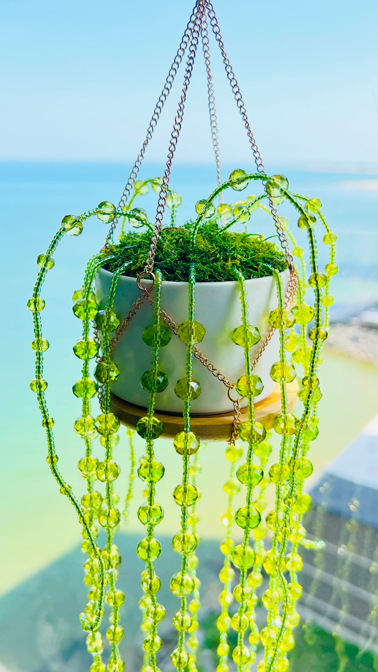 Suncatchers String of Pearls Forever Plant Suncatcher
