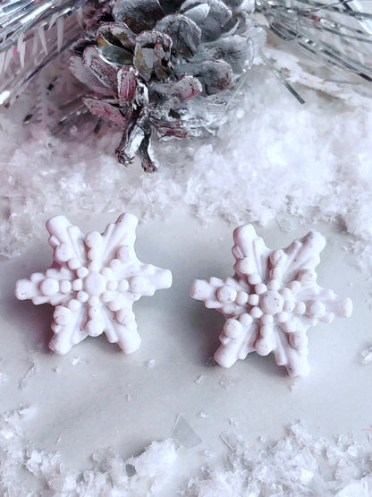 Earrings White Snowflake Stud Earrings